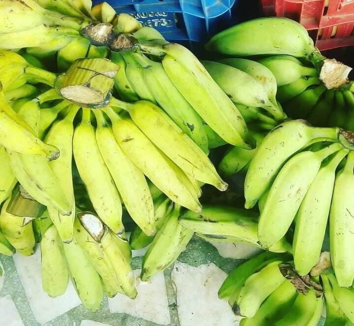 Bananas