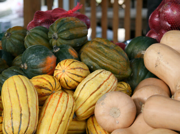 Winter Squashes (butternut, Winter, Etc. )